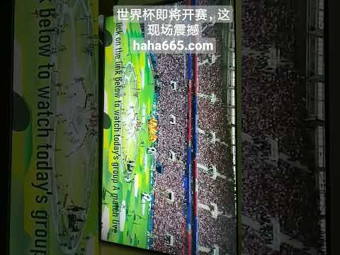 利物浦老板,铁杆力挺斯,洛特,万博,ManBetX,万博官网,万博体育官网,万博体育下载,万博APP